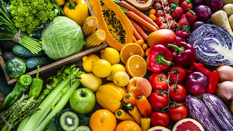 folsm-nutritional-sciences